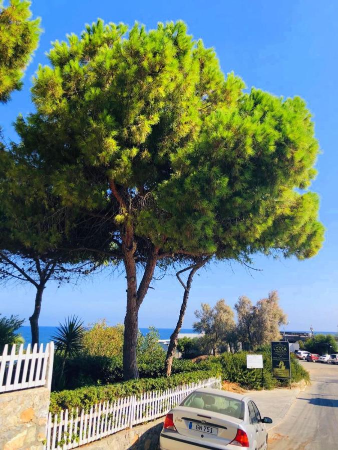 Sea & Sky Bungalows Next To Escape Beach Kyrenia  Exteriör bild